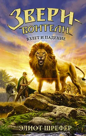 Книга Взлет и падение (Элиот Шрефер)