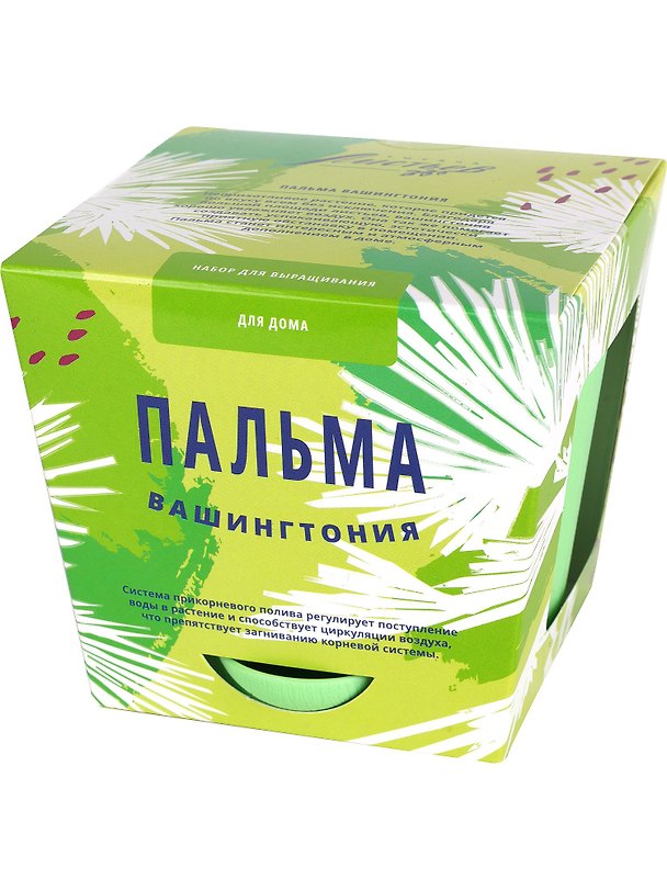 Набор д/выращивания растений Тысяча листьев, Пальма Вашингтония 2894781 — 1