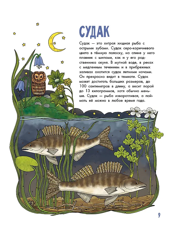 Книга Рыбы (Эмма Янссон) — 6