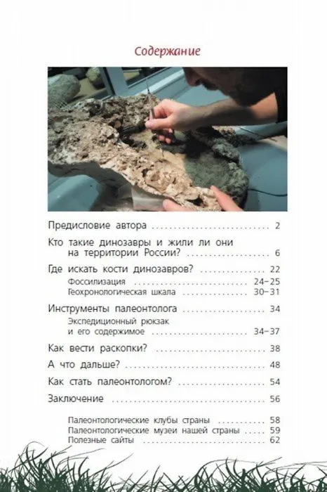 Книга Как откопать своего динозавра (Дмитрий Григорьев) — 6