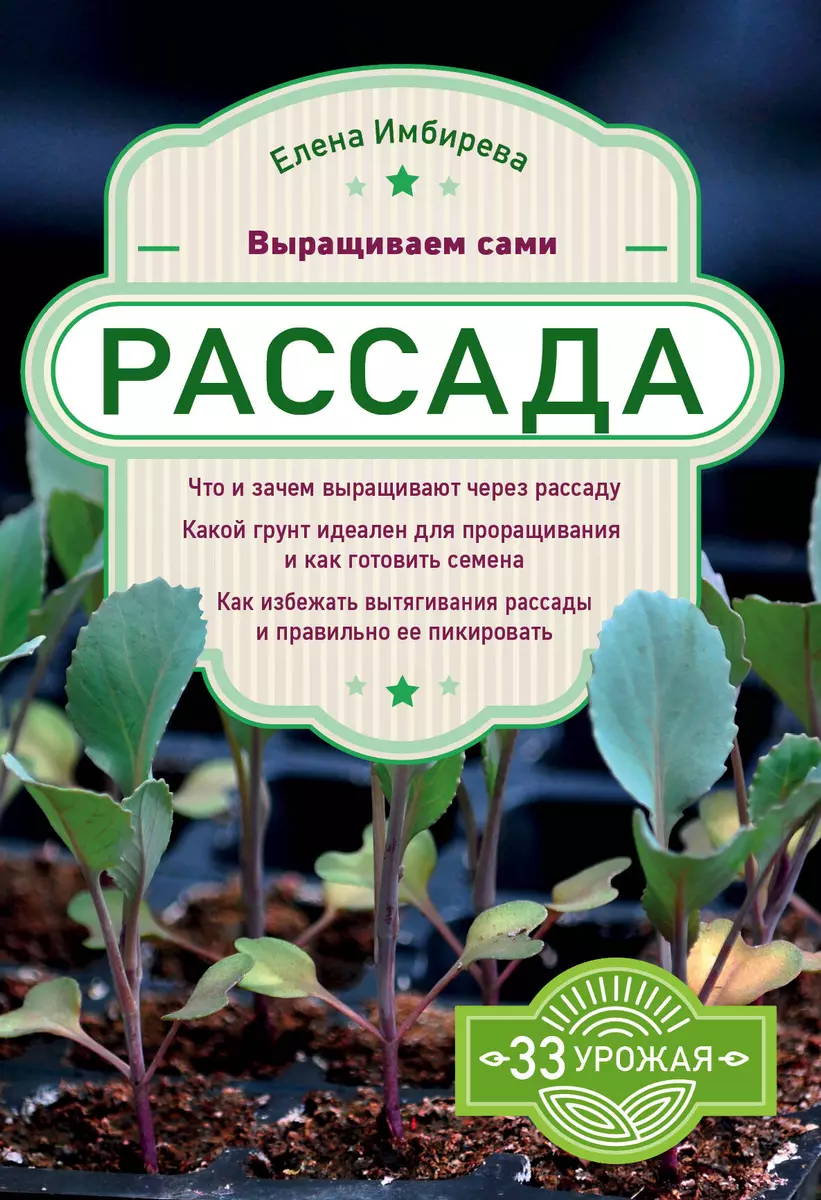 Рассада. Выращиваем сами (Елена Имбирева) - купить книгу с доставкой в  интернет-магазине «Читай-город». ISBN: 978-5-04-099504-2