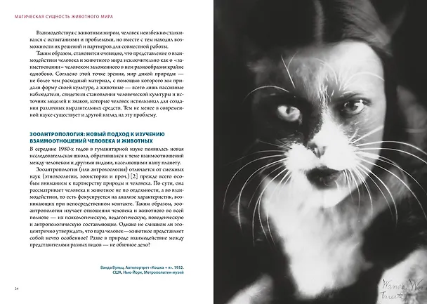 Книга Магия трав и волшебный бестиарий. Сборный комплект из 2-х книг с шоппером (Ипполита Дуглас Скотти ди Виголено, Сабрина Тонутти, Роберто Маркезини) — 17