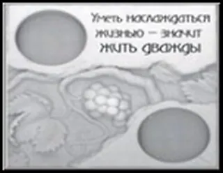 Сувенир, Открытое письмо, Подставка под свечи, H&H - Уметь наслаждаться жизнью 2300994 — 1