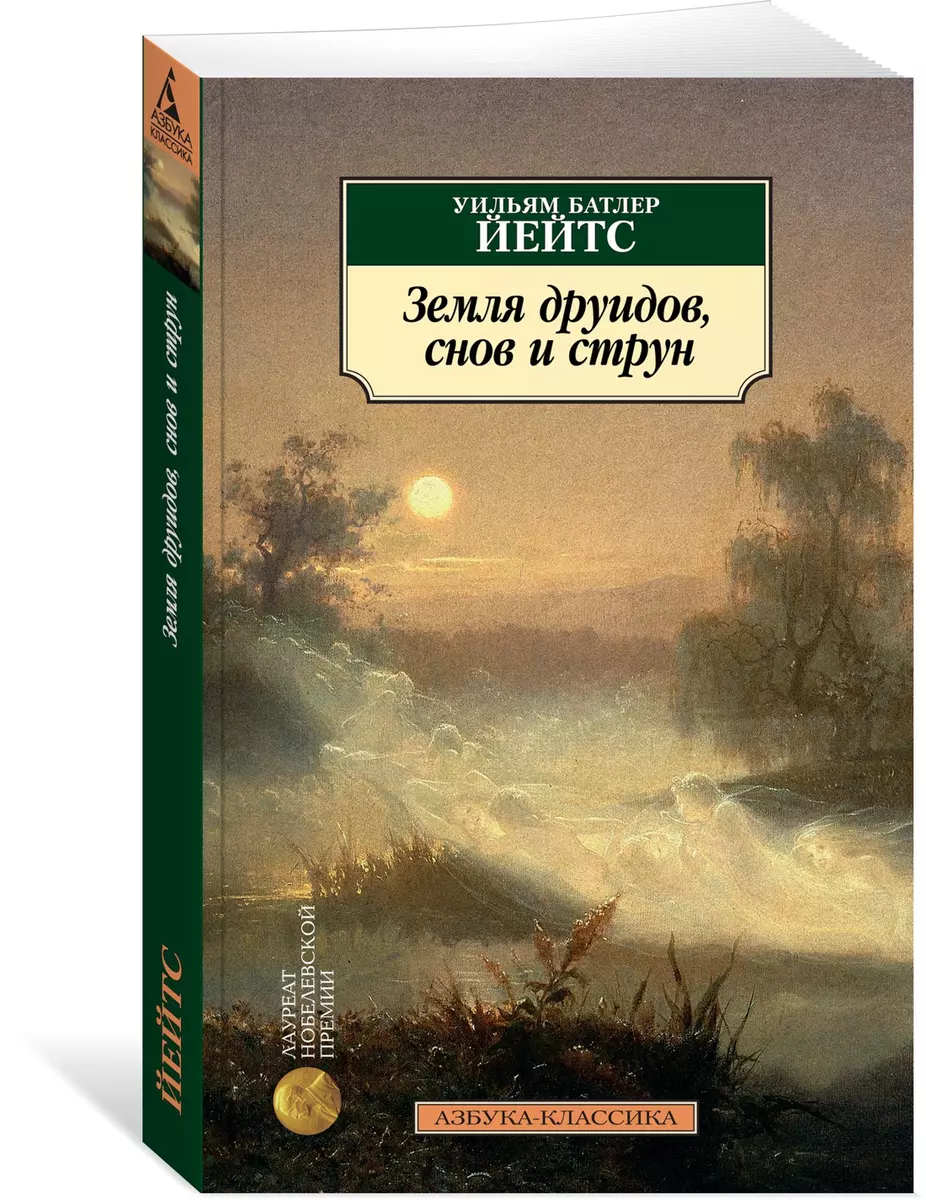 Земля друидов, снов и струн (Уильям Йейтс) - купить книгу с доставкой в  интернет-магазине «Читай-город». ISBN: 978-5-389-15668-5