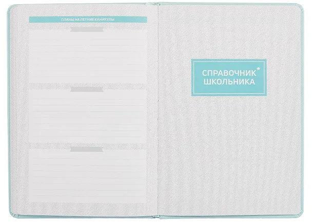 Дневник школьный Феникс+, "Плонже мятный" 3031755 — 18