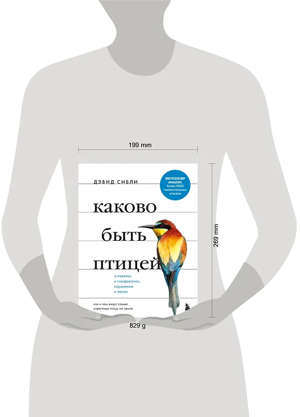 Книга Каково быть птицей: о полетах и гнездовании, кормлении и пении. Как и чем живут самые известные птицы на земле (Дэвид Сибли) — 13
