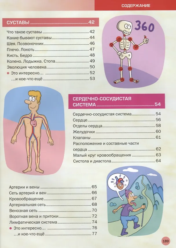 Книга Энциклопедия человека. Как устроено наше тело () — 3
