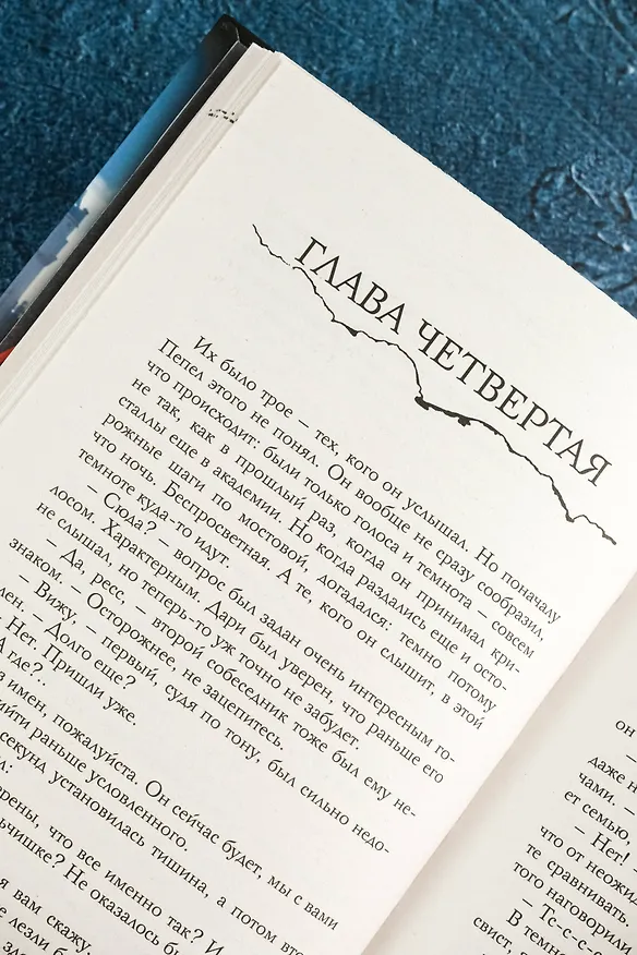 Книга В пепел. Кадет (Юлия Ода) — 15