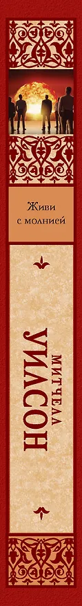 Книга Живи с молнией: роман (Митчел Уилсон) — 3