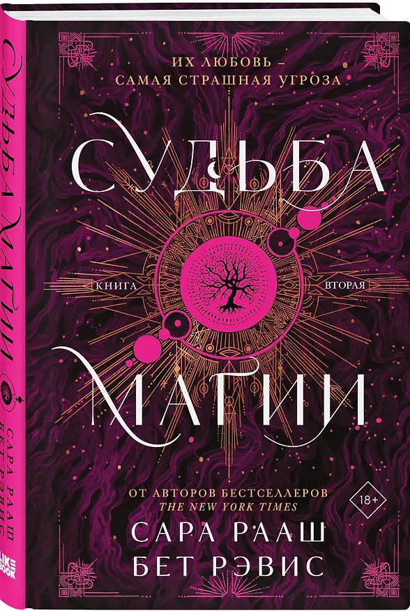 Книга Судьба магии (Сара Рааш, Рэвис Бет) — 5