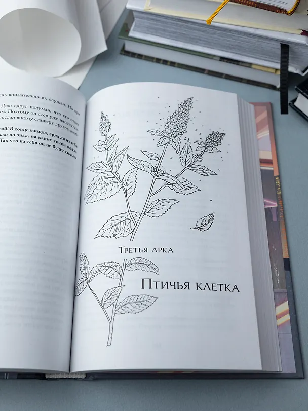 Книга Первоклассный адвокат. Том 2 (Ace Attorney). Новелла (Му Сули) — 12