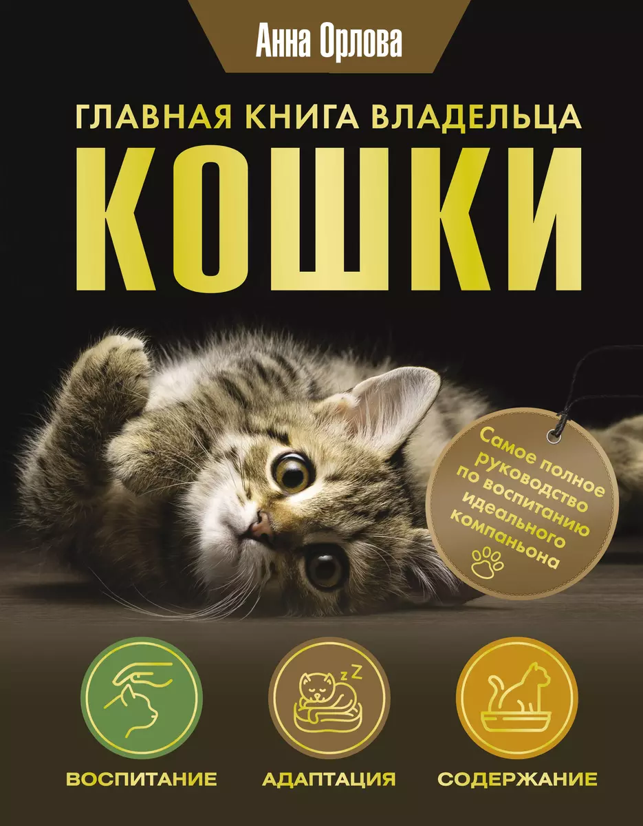 Главная книга владельца кошки (Анна Орлова) - купить книгу с доставкой в  интернет-магазине «Читай-город». ISBN: 978-5-17-159535-7