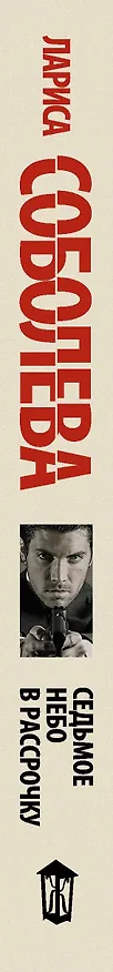 Книга Соболева Седьмое небо в рассрочку (Лариса Соболева) — 3