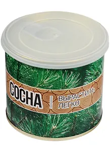 Мини - дерево в банке Сосна  (411234)