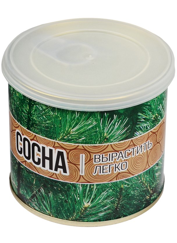 Мини - дерево в банке Сосна (411234) 2551374 — 1