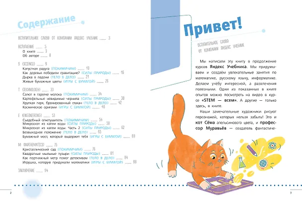 Книга Энциклопедия занимательных наук, химических опытов и математических игр. STEM (Сергей Корнеев) — 5