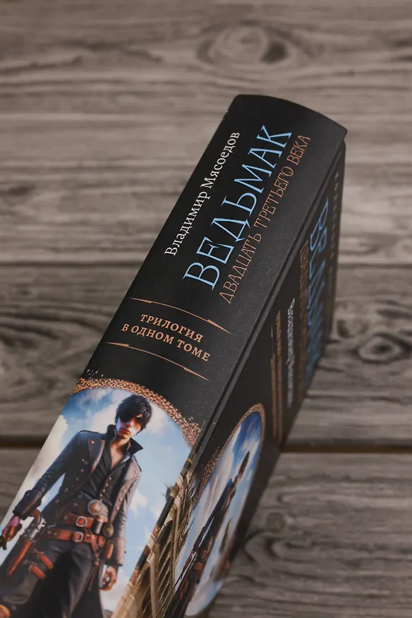 Книга Ведьмак двадцать третьего века (Владимир Мясоедов) — 8