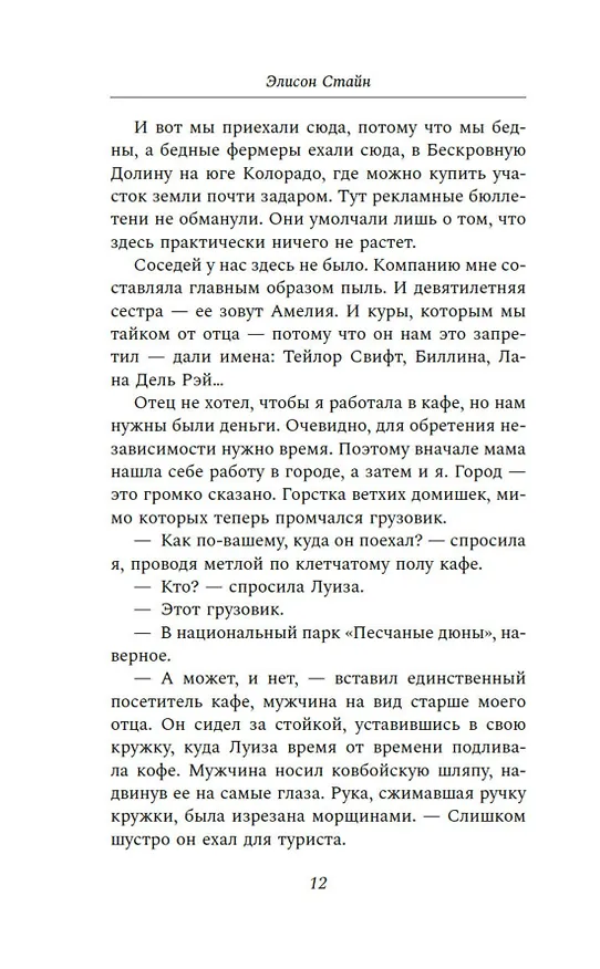 Книга Черная метель (Элисон Стайн) — 21
