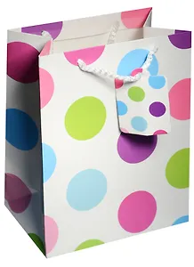 Пакет подарочный бумажный А5 23*18*10 "Разноцветные круги", нейтр., мат. ламинат, Kairui