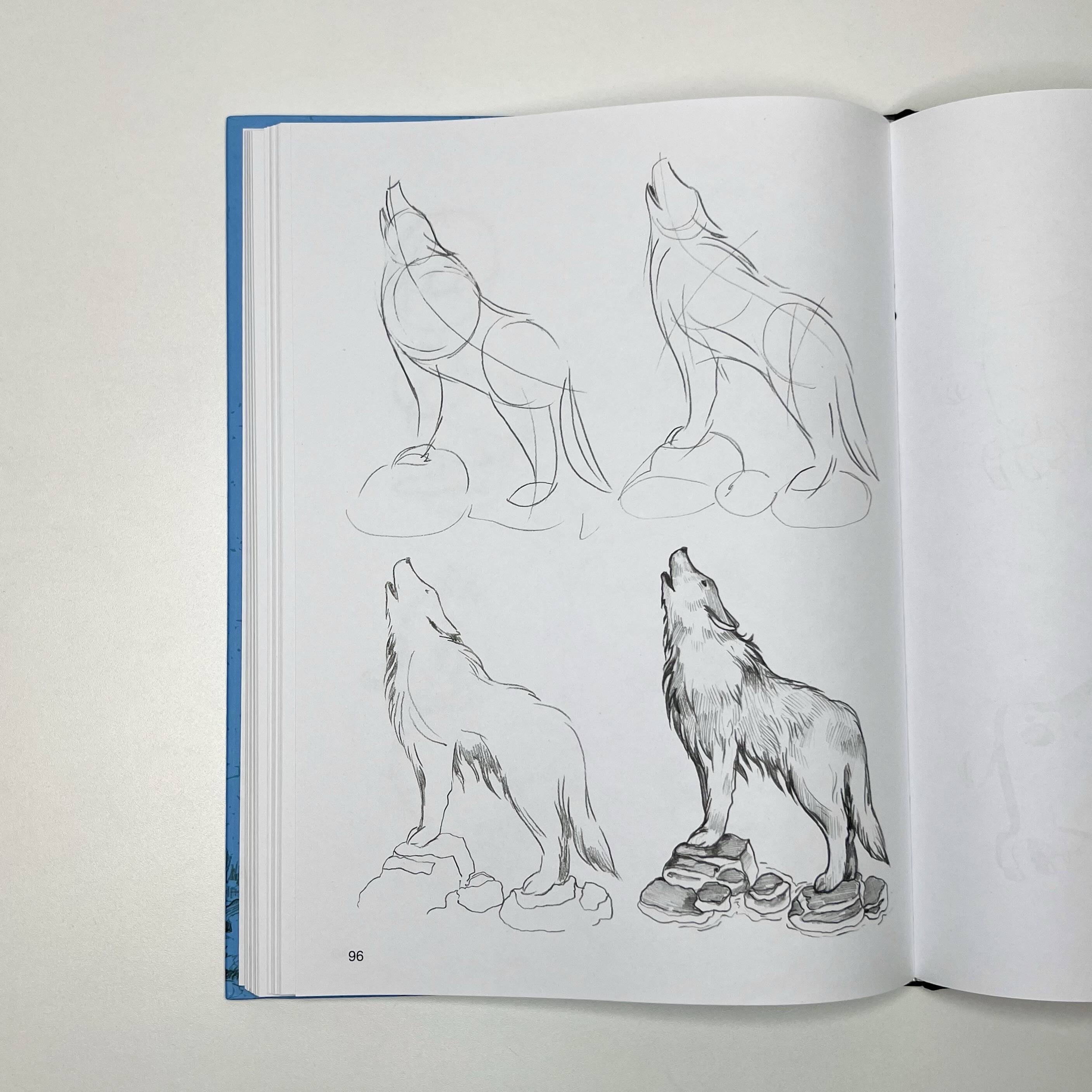 Изображение бумажной книги