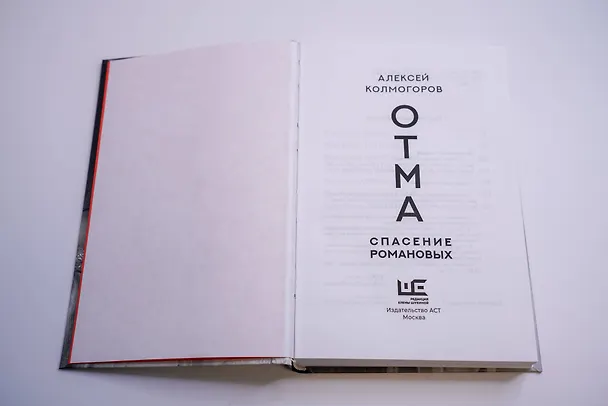 Книга ОТМА. Спасение Романовых (Алексей Колмогоров) — 10