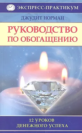 Руководство по обогащению. 12 уроков денежного успеха 2313647