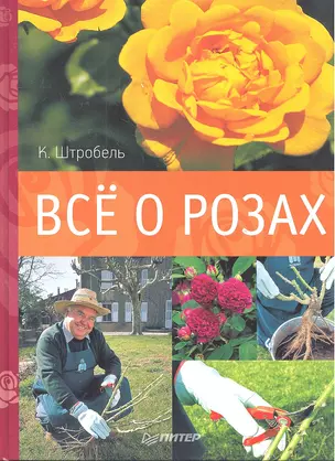 Всё о розах — 2302141 — 1