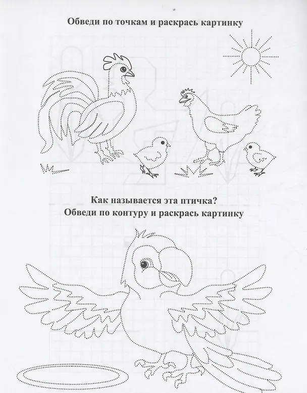 Книга Рисовалочки. Обведи и повтори. Весёлые птички: занимательные задания для подготовки к письму. Для детей 5 лет (Татьяна Березенкова) — 3