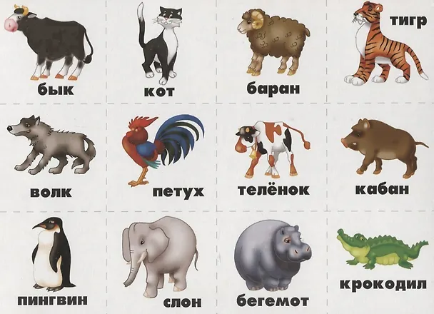 Книга Звонкий-глухой. Фонетическое лото () — 3