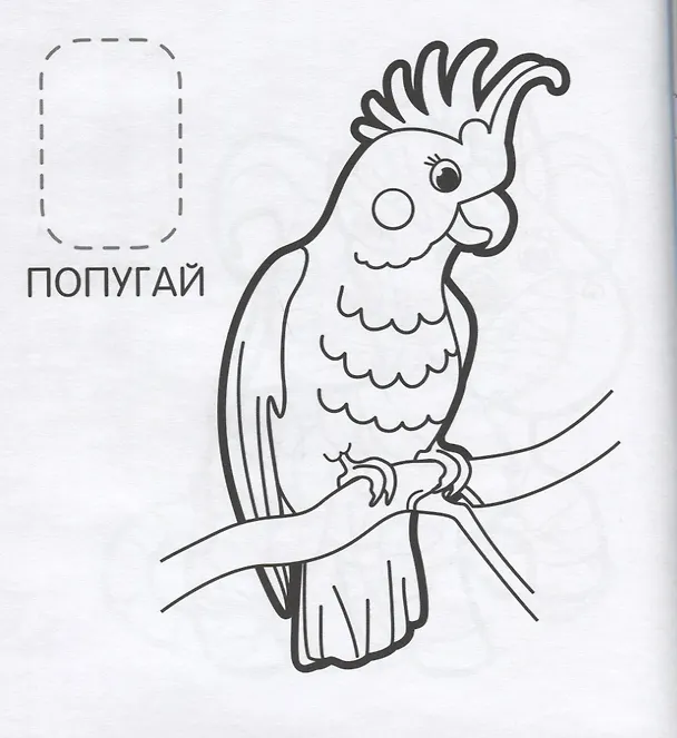 Книга Удивительные животные (Наталья Котятова) — 3