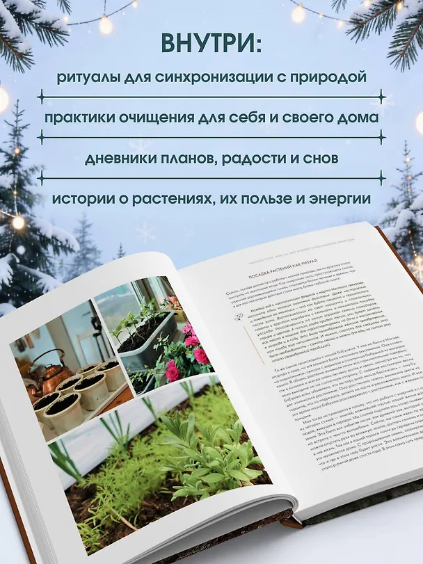 Книга Шаманчай: год в гармонии с природой. Книга о растениях, их силах и применении (Валентина Левченко, Анастасия Кузина) — 6