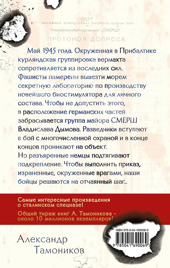 Книга Зловещий лабиринт (Александр Тамоников) — 2