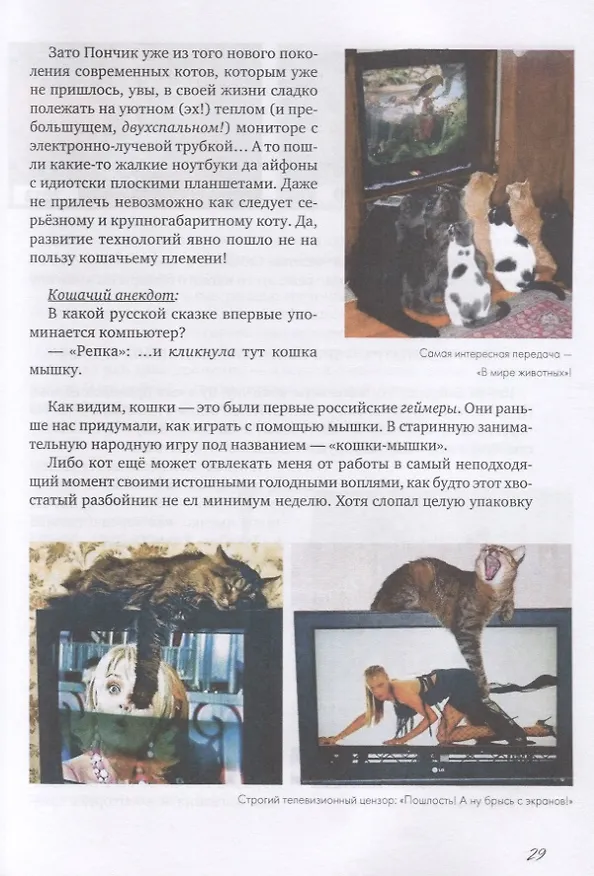 Книга Коты и Кошки. Заметки диванного натуралиста () — 7