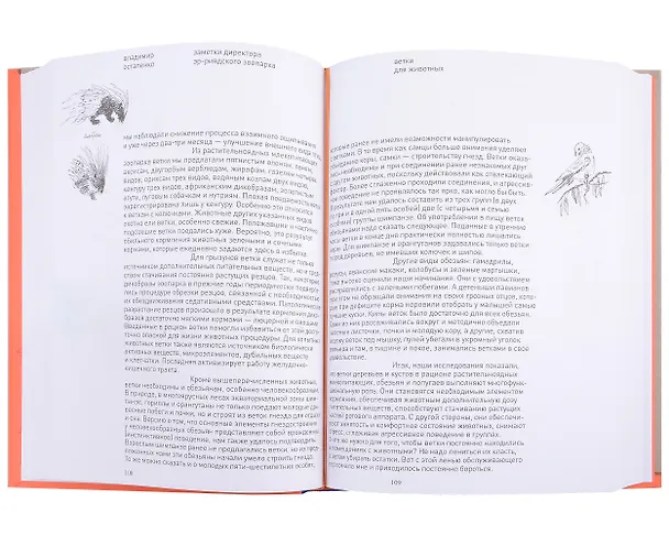 Книга Заметки директора Эр-Риярдского зоопарка (Владимир Остапенко) — 5