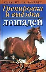 Тренировка и выездка лошадей