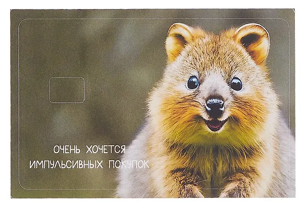 Наклейка на банковскую карту "Квокка" 3100536 — 3