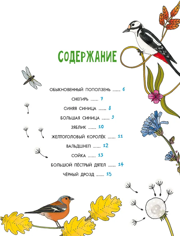 Книга Птицы (Эмма Янссон) — 9