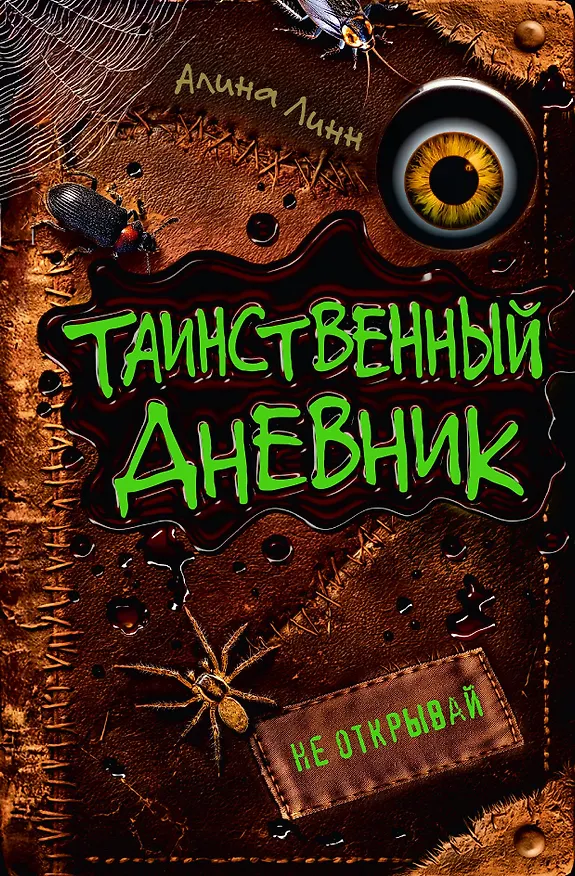 Книга Таинственный дневник (Алина Линн) — 1