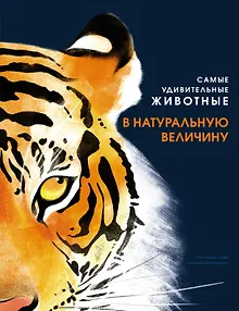 Самые удивительные животные в натуральную величину