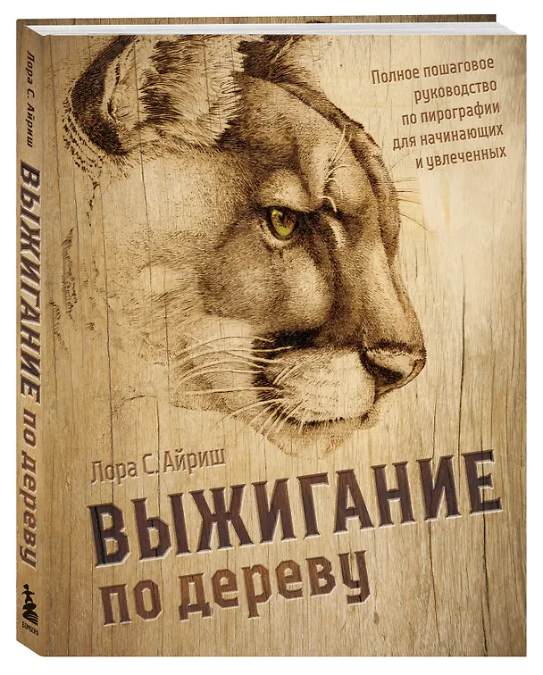 Книга Выжигание по дереву. Полное пошаговое руководство по пирографии для начинающих и увлеченных (Лора Айриш) — 4