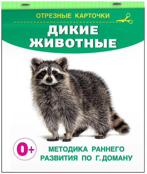 Книга Дикие животные. Отрезные карточки () — 3