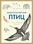 Удивительный мир птиц: Легко ли быть птицей? — 2756446 — 1