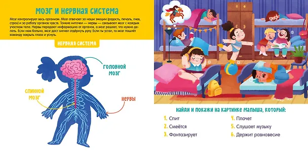 Книга Мое тело. Визуальный словарь (Анна Парамонова) — 7