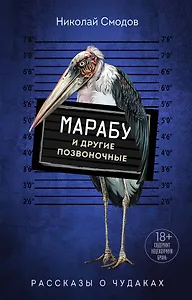 Марабу и другие позвоночные