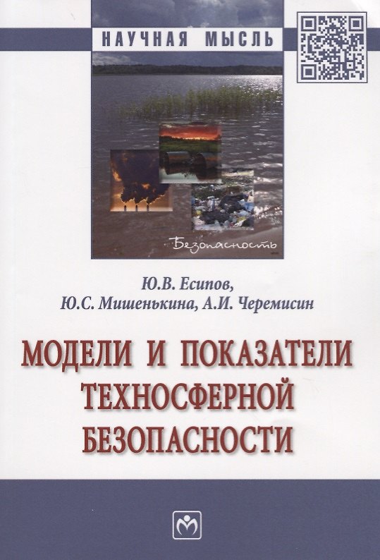 Книга Модели и показатели техносферной безопасности (Юрий Есипов) — 1