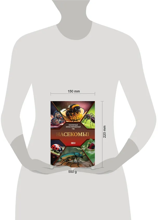 Книга Насекомые. Иллюстрированный гид (Анна Спектор) — 14