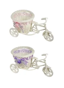 Кашпо Велосипед (21х11) (пКТ Ластик)