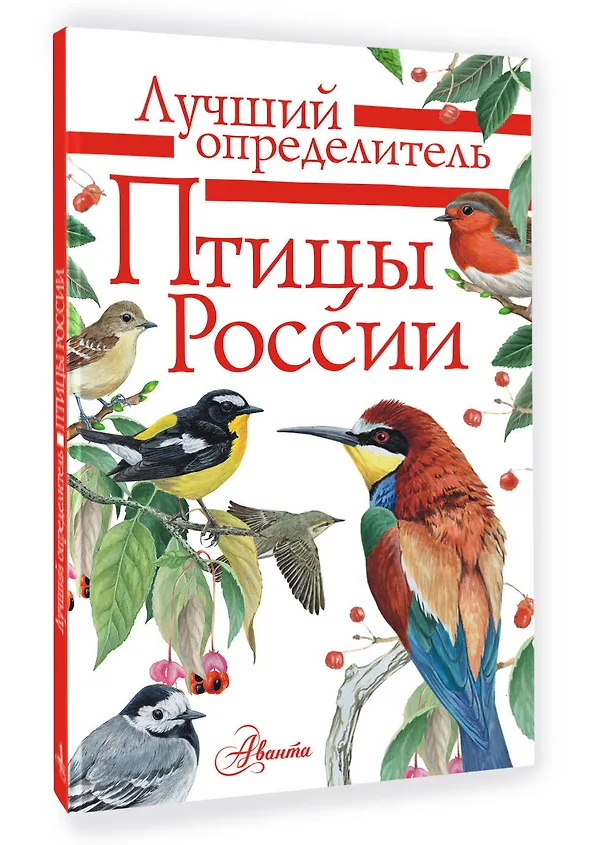 Книга Птицы России (Алексей Мосалов) — 4