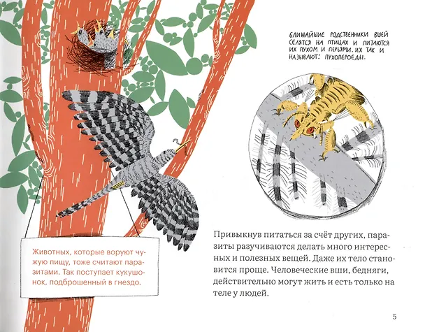 Книга Почему голова чешется? (Роман Фишман) — 3