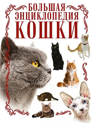 Книга Кошки. Большая энциклопедия (Дмитрий Смирнов)